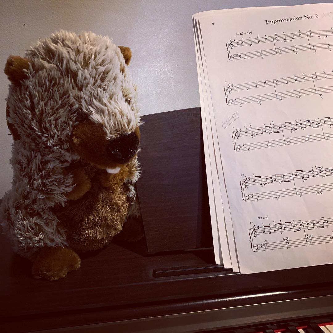 Piano beaver approves of his new location